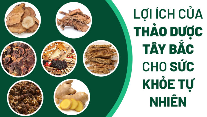 Thảo dược Ami-Ami từ Tây Bắc quý giá cho sức khỏe tự nhiên