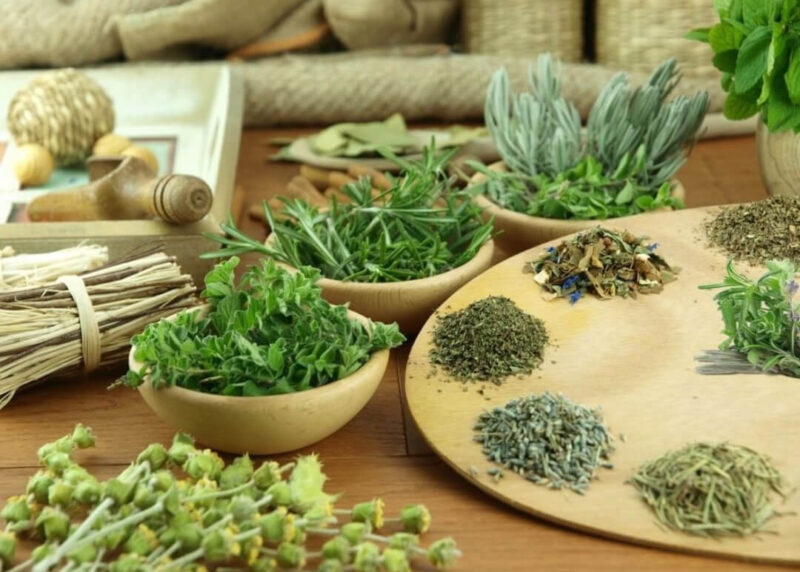 Thảo dược thiên nhiên từ Tây Bắc